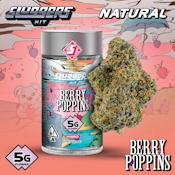 Sluggers Hit - Berry Poppins Flower - 5G