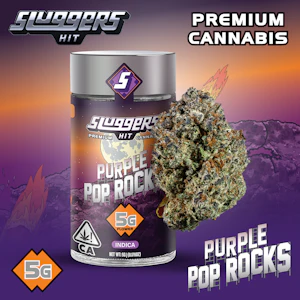 SLUGGERS HIT - Sluggers - Jarred Flower 5g Purple Pop Rocks (I) Main Image
