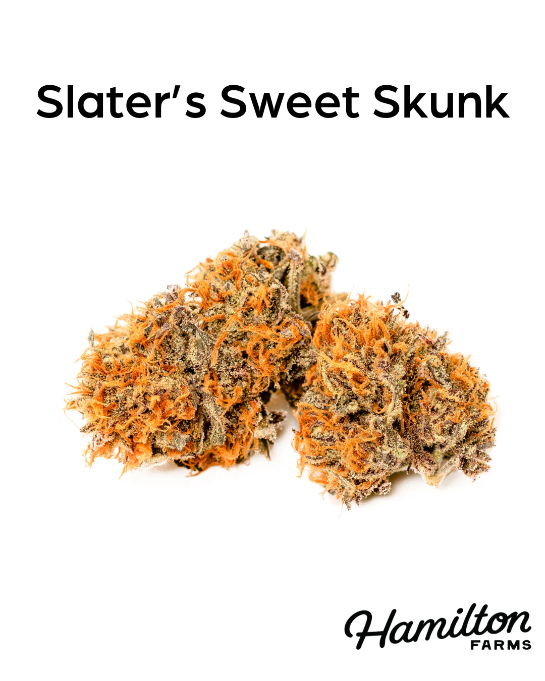 Hamilton Farms - Slater's Sweet Skunk | 3.5g Main Image