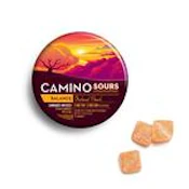 Camino - Balance Orchard Peach - Gummy - .1g
