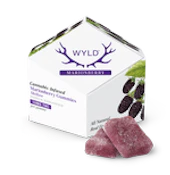 Wyld - Marionberry - Gummy - .1g - 10pk
