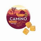 Camino - Uplifting Pineapple Habanero - Gummy - 0.1g - 20pk