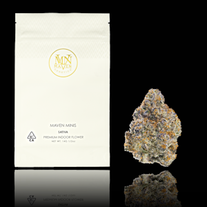 MAVEN GENETICS - Orange Bellini (Minis) - 14g (S) - Maven