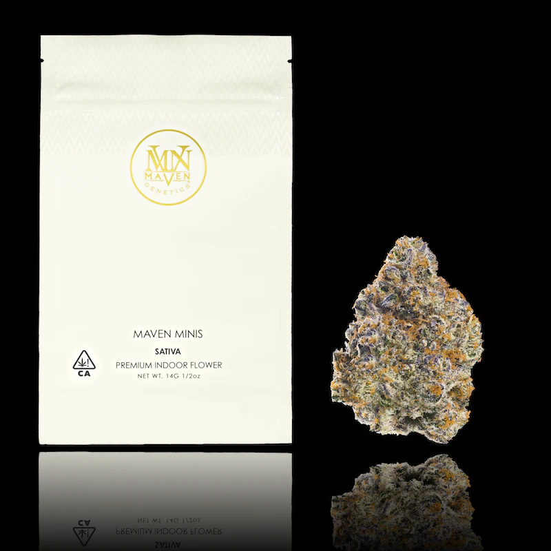 Maven Genetics - Orange Bellini (Minis) - 14g (S) - Maven Main Image