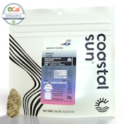 Coastal Sun Flower 14g - Space Rocks 28%