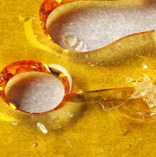 Runaway Cake - Shatter - Seattle's Private Reserve - 1g