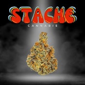 STACHE: Tangerine Haze 10g (S/H)