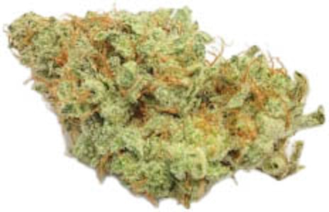 SNOWTILL - Grumpy Tiger 3.5g