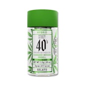 STIIIZY JOINT 5PK GELATO