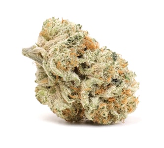 SNOWTILL - Orange Tangie Cane 3.5g