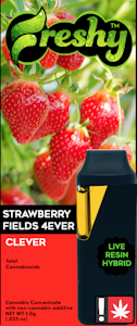 FRESHY - Freshy | Disp Flavor 1g [H] | Strawberry Fields 4Ever