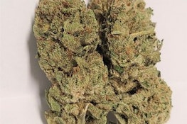 GOGI | Strawberry Runtz