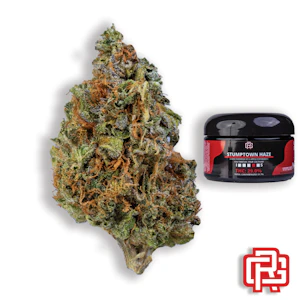 PRUF CULTIVAR - Stumptown Haze Flower | Quarter Special
