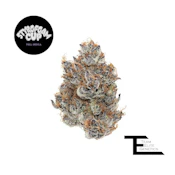 Team Elite Genetics | Styrofoam Cup | Pre-Pack | [3.5g] | Indica
