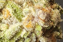 MH | Super Buff Cherry