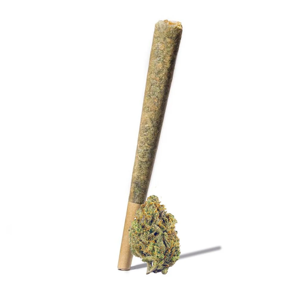 VETCBD - Vet CBD Advanced 1000mgCBD / 50mgTHC - Reg 20:1 Main Image