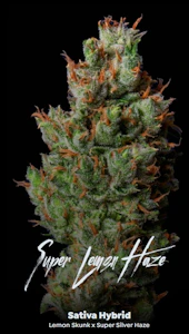 ALTERNATIVE SOLUTIONS - Super Lemon Haze 3.5 Gram Jar By Alt Sol