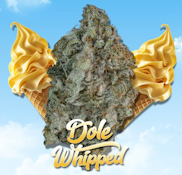 Dole Whipped #1 Premium Flower - 3.5g