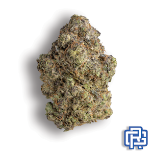 KLEEN KARMA GARDENS - Swiss Watch Flower