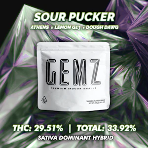GEMZ - Sour Puckerz 14g - GEMZ