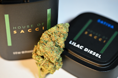 House of Sacci - Lilac Diesel - 3.5g - Dried Flower