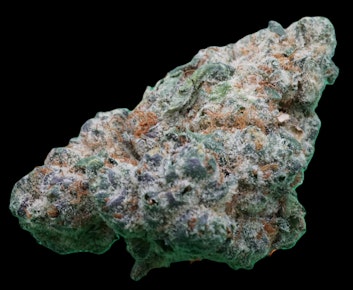 Sacred G - buds
