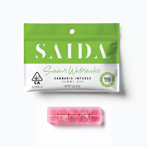 SAIDA - Saida - 100mg Gummy Bars - Summer Watermelon