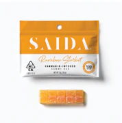 SAIDA: *OVERSTOCK* Rainbow Sherbet Gummy Bar 100mg (I)