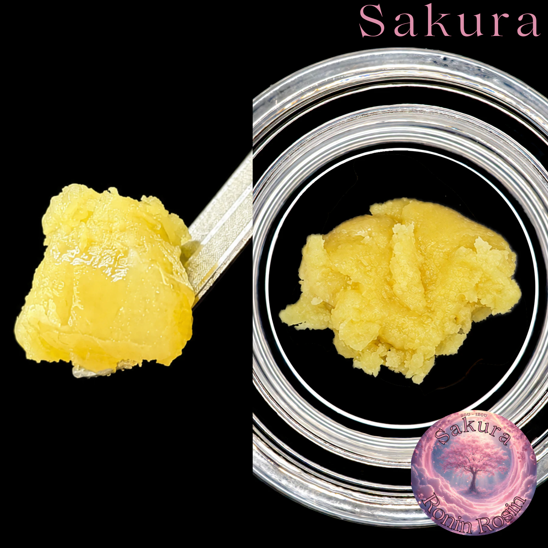 RONIN ROSIN - Ronin Rosin 1g Sakura Live Rosin Main Image