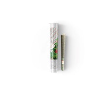 Santa's Helper - 1g Infused Preroll - Starbird Cannabis