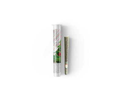 Starbird - Santa's Helper - 1g Infused Preroll - Starbird Cannabis