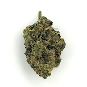 Canal Street Runtz | 3.1g