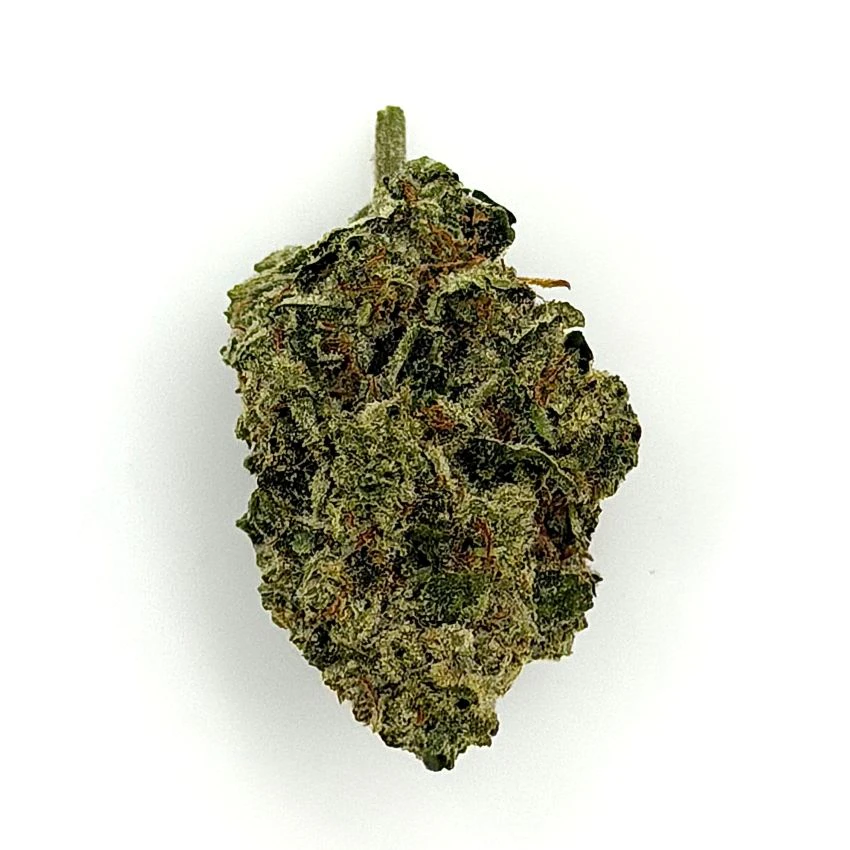 Sapura - Canal Street Runtz | 3.1g Main Image