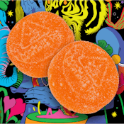 Outrageous Orange | Gummies | 20pk | 100mg