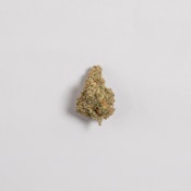 Sashi | Super Lemon Haze Sativa |3.5g Top Shelf Flower LIMITED BATCH