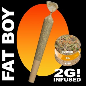 THERAPLANT - ForeverBerry 2g Infused Fatboy PR 4957