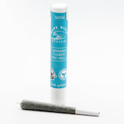  Next Day - Jack Herer Preroll (1g)