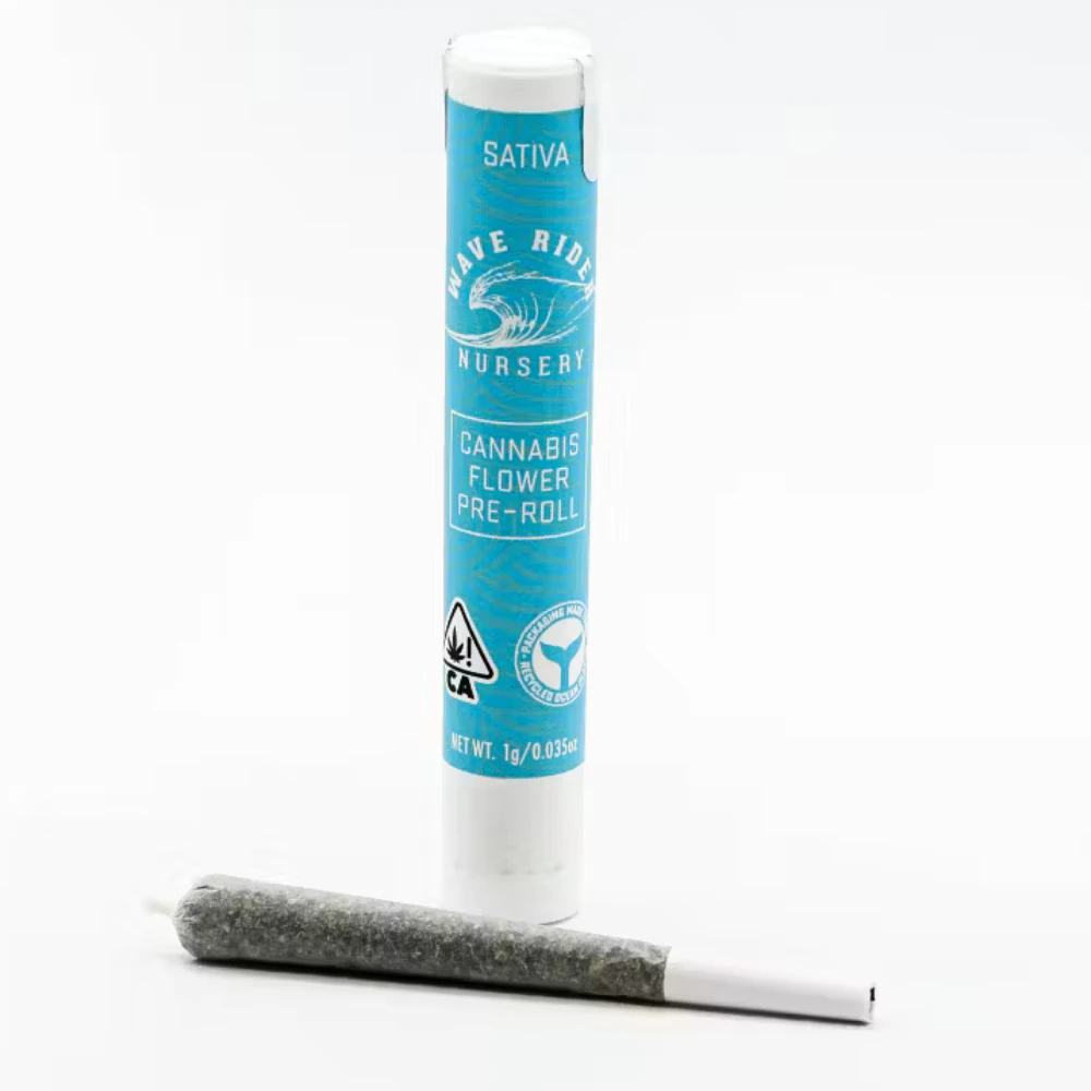 Wave Rider - Jack Herer Preroll (1g) Main Image