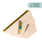 The Botanist | Preroll | Acid | 1g