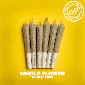 THERAPLANT - SBC PR Minis 4823