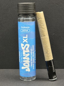 Joints - Melon Force One | XL Joint | Infused Preroll | Hash | 2g