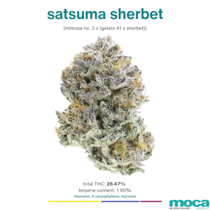 MOCA Flowers - MOCA Flowers - Smalls 1/4 Bag - Satsuma Sherbet