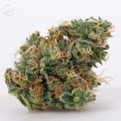Savvy Smalls 7g Sour Sunrise S 25554