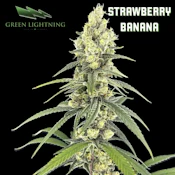[REC] Green Lightning | Strawberry Banana | 3.5g Flower
