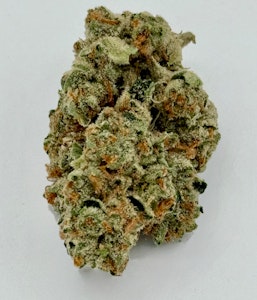 MC Courier - Scooby Snacks || MC Courier