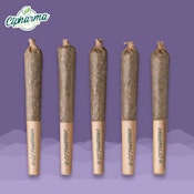 Scout Breath - CTP Shorties I 25832