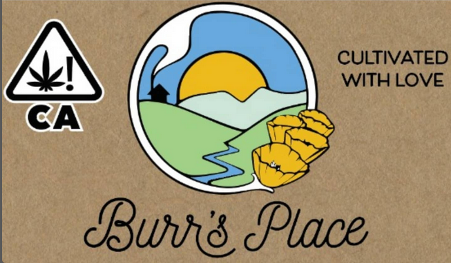 Burr's Place: Blueberry Muffin