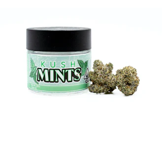 Flora Terra - Flora Terra Flower 3.5g - Kush Mints 38%