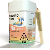 Coastal Sun Prerolls 10pk 3.5g - Mule Fuel 28%
