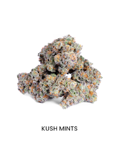 CAM - CAM Flower 3.5g - Kush Mints 30%